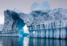 Những trải nghiệm độc đáo chỉ có trong chuyến du lịch Nam Cực