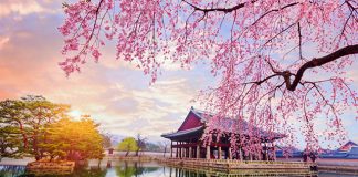 Danh sách top 30 địa điểm du lịch Hàn Quốc nổi tiếng